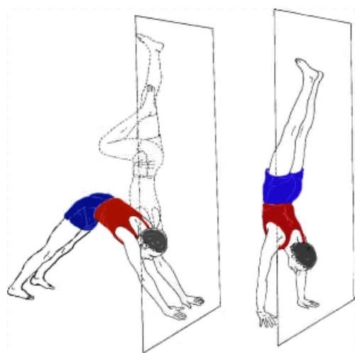Adho Mukha Vrksasana Handstand Yoga Pose Steps And Benefites Sarvyoga Yoga