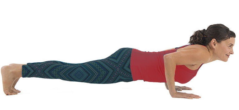 Pose of the Week Guide: Four Limbed Staff Pose (Chaturanga Dandasana) -  Oxygen Yoga Fitness