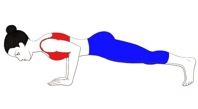 How To Do The Body Saw Exercise And Upgrade Your Plank | Coach