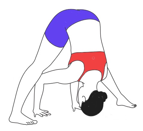 Yoga Pose: Standing Forward Bend | Pocket Yoga