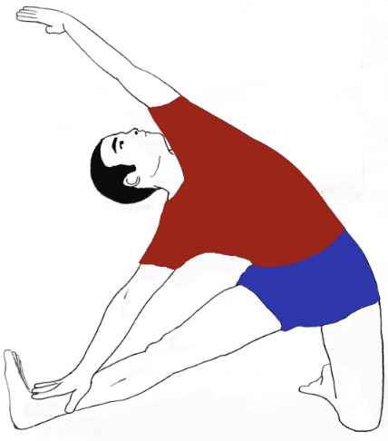 Learn to teach Gate Pose Kneeling Half Moon Pose Flow at  https://www.tummee.com/yoga-poses/gate-pose-kneeling-half-moon-pose-flow  (Search... | Instagram