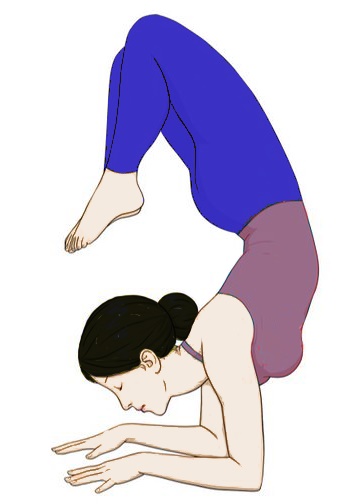 Concept of healthy lifestyle / benefits of yoga / young woman practices yoga  / yoga meditation / Vrschikasana / Scorpion pose / vector illustration /  flat style Stock Vector | Adobe Stock