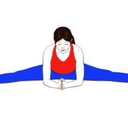 Asana Archives - Sarvyoga| yoga online|yoga