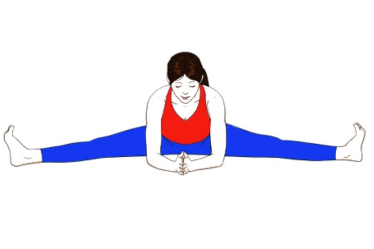 Upavistha Konasana (Wide Angle Seated Forward Bend)-Yoga Pose ...