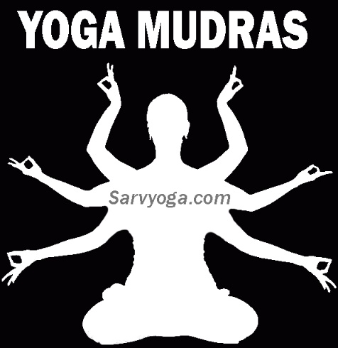 Yoga Mudras| Miracle of Fingers Gesture