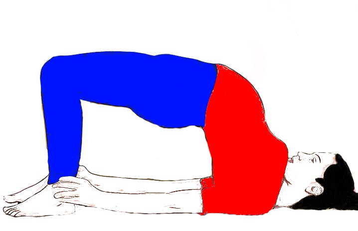 Kandharasana The Shoulder Pose  Sarvyoga  Yoga