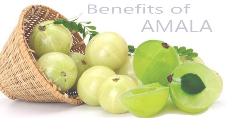 12 Benefits Of Amla You Didn't Know About! - Sarvyoga | Yoga