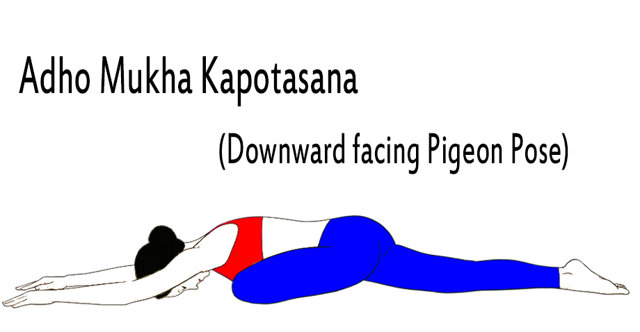 Adho-Mukha-Kapotasana-Downward-facing-Pigeon-Pose-yoga-steps