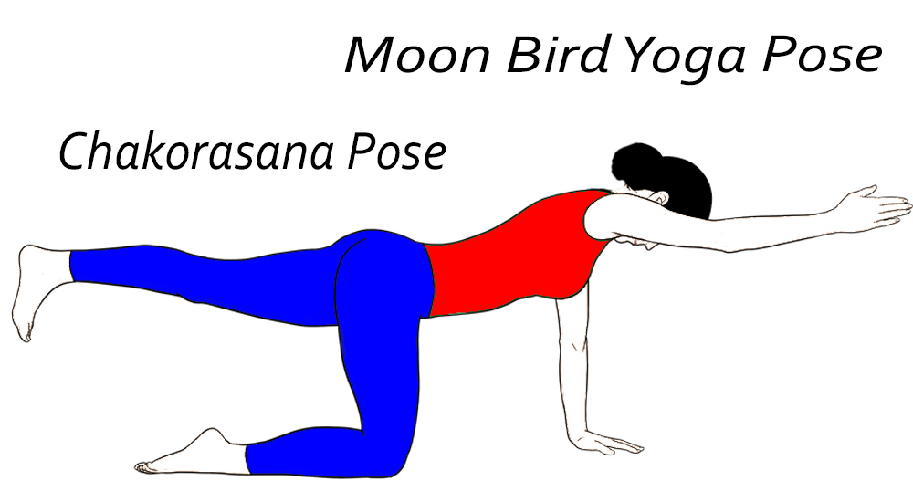 Chakorasana-Pose-Moon-Bird-Yoga-Pose-yoga-steps