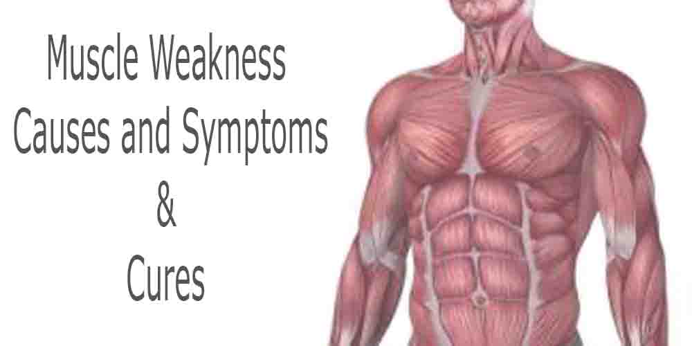 Muscle Weakness Causes, Symptoms & Cures