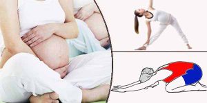 Yoga Asanas for the Second Trimester of Pregnancy - Sarvyoga | Yoga